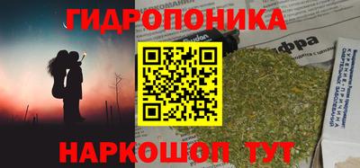 амф Бийск