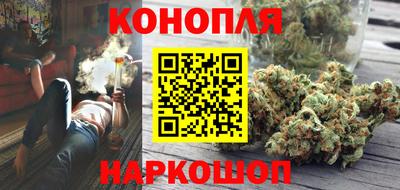амф Бийск